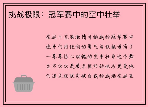 挑战极限：冠军赛中的空中壮举